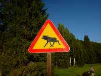 InfoXXX
